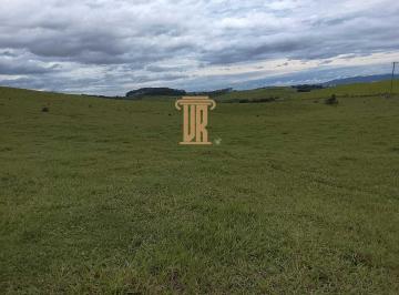 Imagem 1 · Sítio para venda em Centro, Caçapava