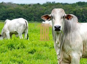 Imagem 1 · Fazenda para venda em Alto da Ponte, São José dos Campos