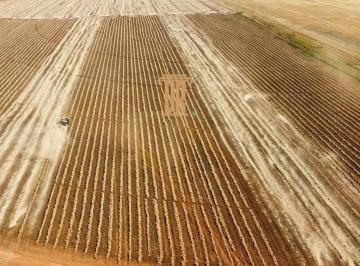 Imagem 1 · Fazenda para venda em Centro, Cristalina
