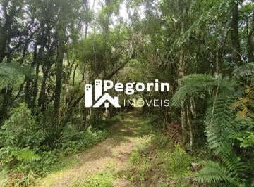 Imagem 1 · Sítio para venda em Centro, Campo Magro