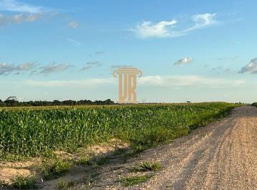 Imagem 1 · Fazenda para venda em Setor Central, Santa Fé do Araguaia