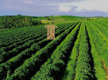 Imagem 1 · Fazenda para venda em Centro, Machado
