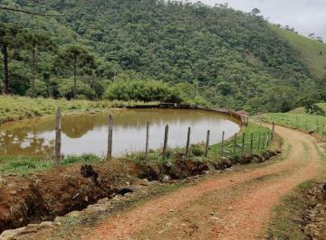 Imagem 1 · Sítio para venda em Cruzeiro
