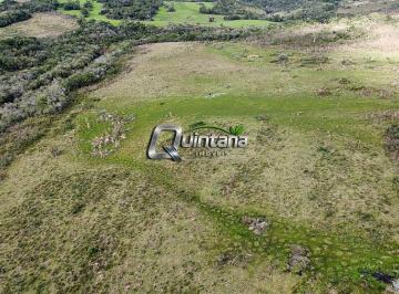 Rural · 730000m² · 73 ha em Pinheiro Machado com Potencial para Lavoura