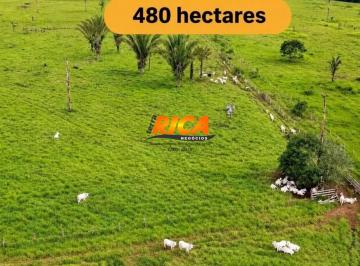 Imagem 1 · Fazenda para venda em Área Rural de Porto Velho, Porto Velho