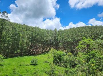 Rural · 199m² · Fazenda à venda em SilveirasSP