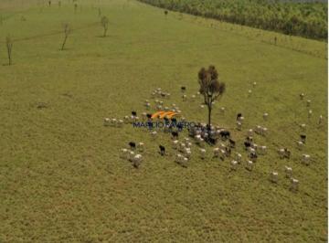 Imagem 1 · Fazenda para venda em Ribas do Rio Pardo