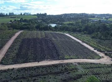 Terreno , Mairinque · Lotes amplos em Mairinque sp