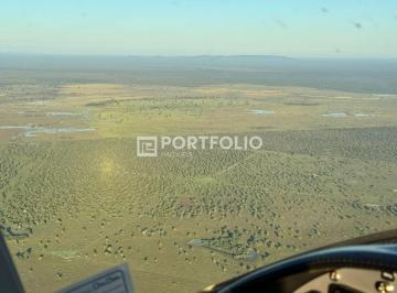 Capa · Fazenda à venda com 15.600 hectares em Mato Grosso