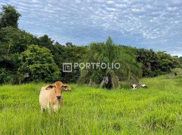 Capa · Fazenda à venda com 43 alqueires em Goiás Velho, GO