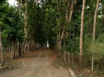 Terreno , Ibiúna · Terreno 500m² em Ibiúna | A 1 min do asfalto e parcelas de R$625