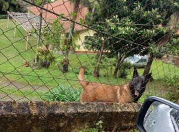 Rural · 86m² · 2 Quartos · 2 Vagas · Rurais à venda - em Terra Preta