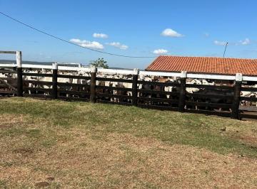 Rural · Fazenda em Rural Terenos- Terenos