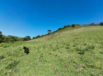 Terreno , Cambuí · Terreno de 96800 m² à venda em Senador