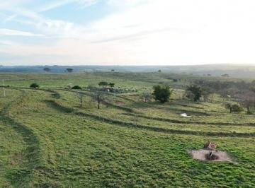 Imagem 1 · Fazenda para venda em Área Rural de Bauru, Bauru