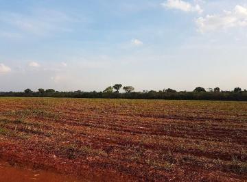 Foto 08 · Terreno - Betel