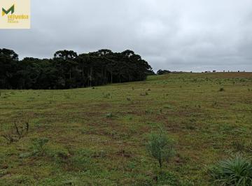 Rural · 274ha · 2 Quartos · Fazenda com 274 há sendo 60 há de lavouras!!