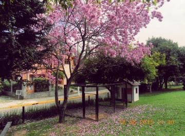 Foto 02 · Terreno - São Lucas