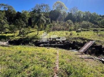 Rural · ÁREA DE 3,5 HECTARES NO SÃO ROQUE