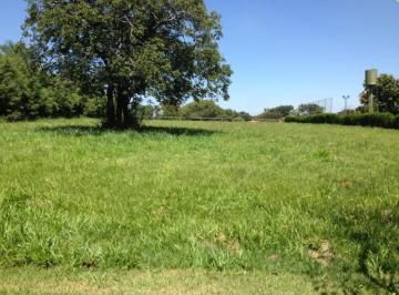 Foto 01 · Terreno - Condomínio Fechado Village Haras São Luiz II