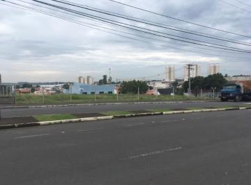 01 · Terreno - Buru