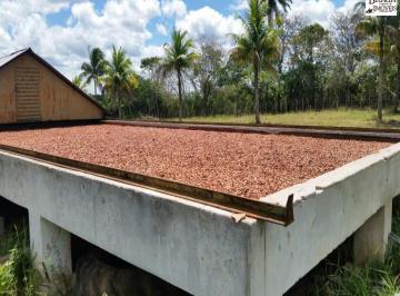 Foto 17 · FAZENDA EM MATA DE SÃO JOÃO- BAHIA