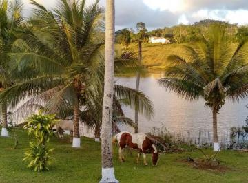 Foto 11 · FAZENDA PRONTA NO SUL DA BAHIA
