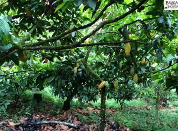 Foto 16 · Fazenda em Jaguaquara