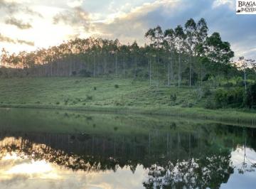 Foto 01 · REFLORESTAMENTO E PECUARIA EM ITANAGRA-BA