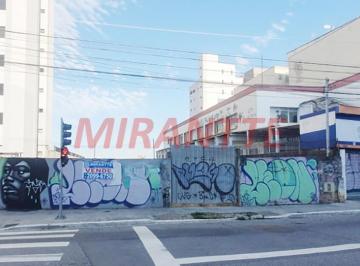 8db675c5342df5ac90c147c8a0e1cbc2.jpg · Terreno