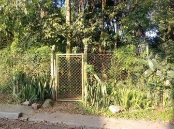 Foto 18 · Terreno - Pilarzinho