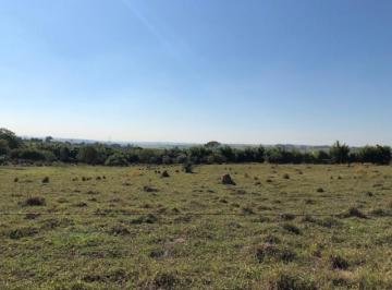 Foto 01 · Terreno - Olaria
