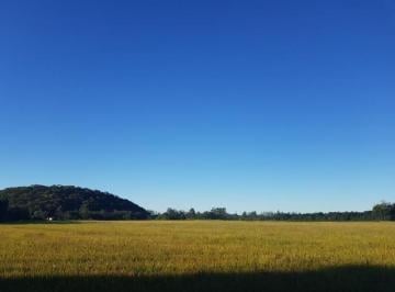 Foto 01 · VENDA DE TERRENO, ARROZEIRAS.ESTRADA POÇO GRANDE, GUARAMIRIM, SC.
