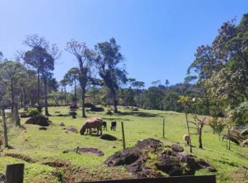 Foto 15 · VENDA DE CHACARA, JARAGUÁ DO SUL - SC.