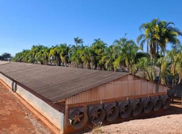 Rural , Planaltina · Vendo com Exclusividade Propriedade Excelente Localização no Núcleo Rural Taquara-DF ! 7.500.000 !