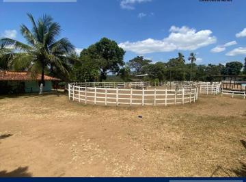 Foto 01 · Sítio com estrutura de Haras em 87mil m² na Cajazeira de Abrantes!