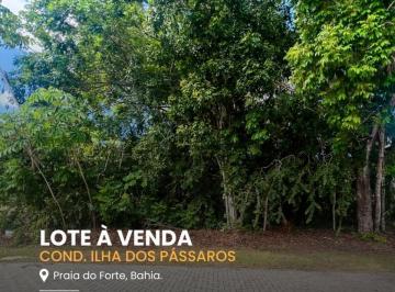Foto 01 · Terreno - Mata de São João