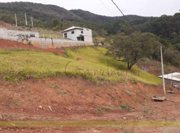 Foto 01 · Terreno - Santa Clara