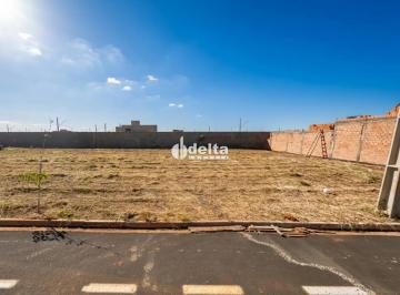 Terreno · 300m² · Terreno disponível para venda no bairro Novo Mundo em Uberlândia MG