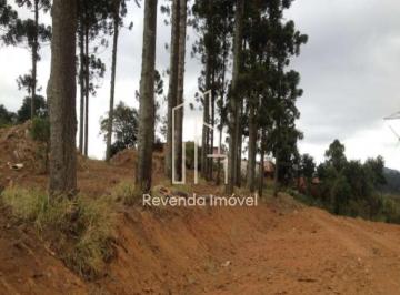 Terreno · 2742m² · Área 2.740m² próx. ao centro de Cotia