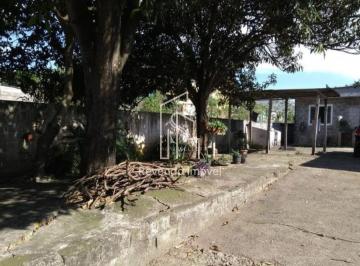 Terreno · 596m² · Terreno à venda na Vila Guilherme, SP: 596m² de oportunidade imperdível!
