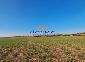 Imagem 1 · Fazenda para venda em São Carlos