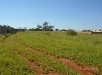 Imagem 1 · Chácara para venda em Conjunto Uberaba, Uberaba