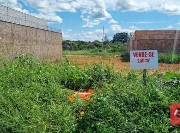Imagem 1 · Loteamento e Condomínio para venda em Conjunto Margarida Ros