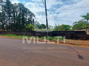 Imagem 1 · Sítio para venda em Mansões Aeroporto, Uberlândia