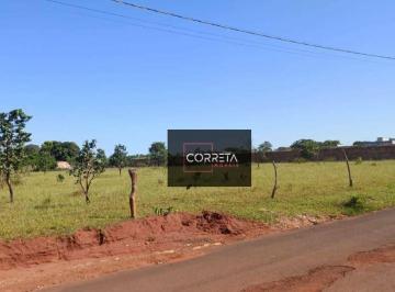 Imagem 1 · Chácara para venda em Jardim Copacabana, Uberaba