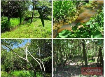 Imagem 1 · Chácara para venda em Recanto das Flores, Uberaba