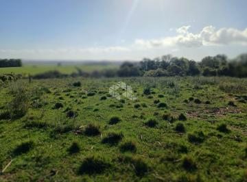 Rural · 140000m² · Área de Campo sem benfeitoria à venda no Distrito de Pains em Santa Maria RS