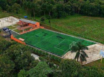 74f714ea20f7274e14241ea052c8b07e991d39bd · Área, 4000 m² - venda por R$ 1.500.000 ou aluguel por R$ 12.000/mês - Pacotuba - Almirante Tamandaré