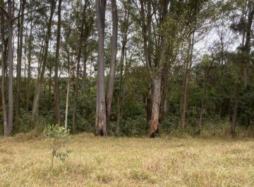 6361de19216650c3877f8491bc1662ab7e6ff851 · Terreno à venda, 125 m² por R$ 79.000,00 - Jardim Primavera - Itaquaquecetuba/SP